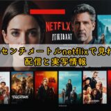 秒速5センチメートルnetflixで見れる？配信と実写情報