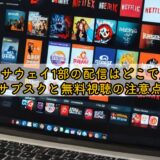 閃光のハサウェイ1部の配信はどこで見れる?サブスクと無料視聴の注意点